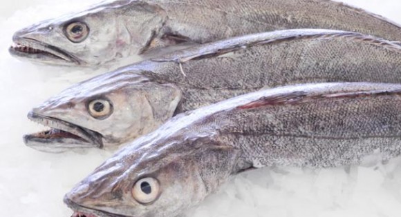 Deep-water Cape Hake